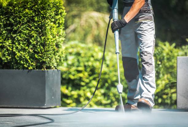 Best Sidewalk and Walkway Cleaning  in Clearlake, CA